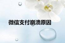微信支付崩溃原因