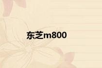 东芝m800