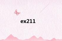 ex211